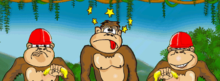 Бонус символ игрового автомата Crazy Monkey